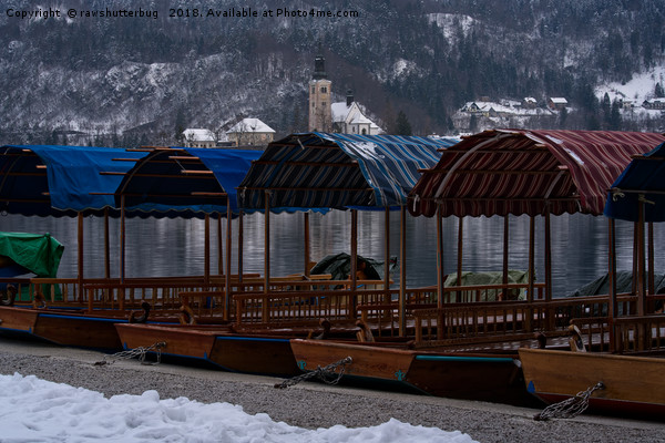 Pletna Boats At Bled Lake Picture Board by rawshutterbug 