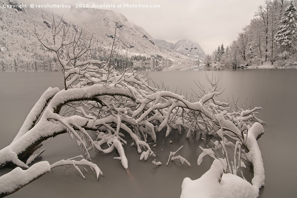 Frozen Lake Bohinj Picture Board by rawshutterbug 