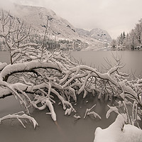Buy canvas prints of Frozen Lake Bohinj by rawshutterbug 