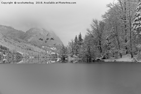 Partly Frozen Lake Bohinj Mono Picture Board by rawshutterbug 