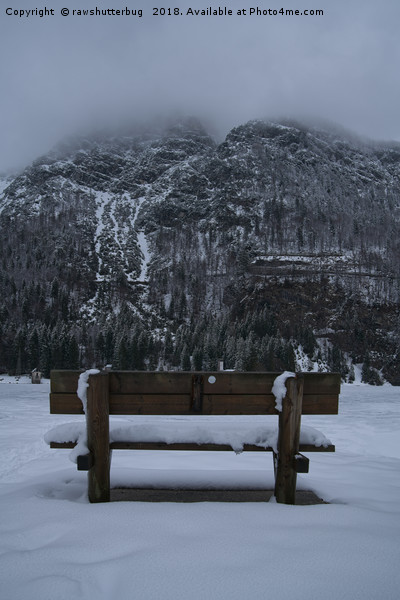 Lone Bench At Lago del Predil Italy Picture Board by rawshutterbug 