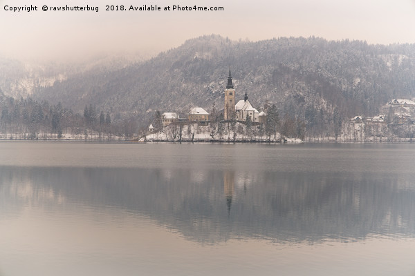 Bled Island On A Wintry Day Picture Board by rawshutterbug 