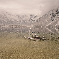Buy canvas prints of Lake Bohinj Reflection by rawshutterbug 