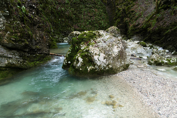 Boulder At Soca River Gorge Picture Board by rawshutterbug 