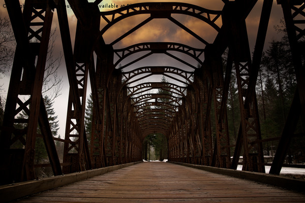 The Old Railway Bridge - Slovenia Picture Board by rawshutterbug 