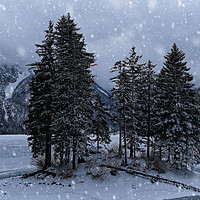 Buy canvas prints of Trees At The Frozen Lago del Predil by rawshutterbug 