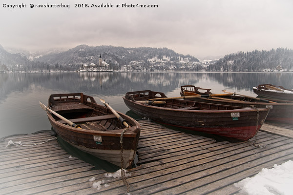 Rowing Boats At The Lake Bled Picture Board by rawshutterbug 