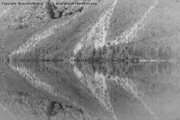Silver Landscape At Lake Bohinj Picture Board by rawshutterbug 