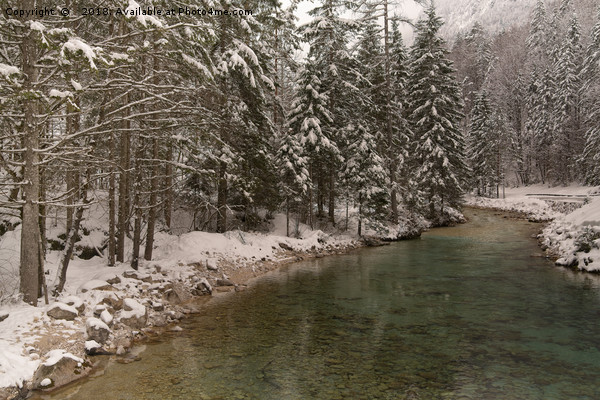 Picturesque Triglavska Bistrica River Picture Board by rawshutterbug 