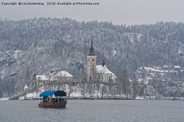 Bled Island Pletna Boat Picture Board by rawshutterbug 