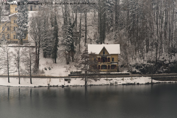 House On Lake Bled Picture Board by rawshutterbug 