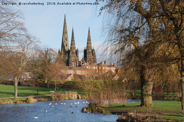 Lichfield Cathedral Beacon Park Picture Board by rawshutterbug 