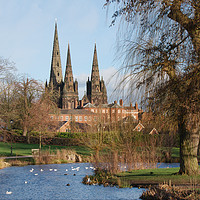 Buy canvas prints of Lichfield Cathedral Beacon Park by rawshutterbug 