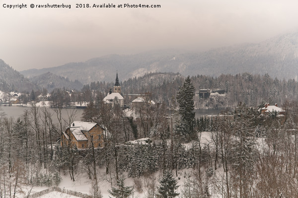Wintry Bled In Slovenia Picture Board by rawshutterbug 