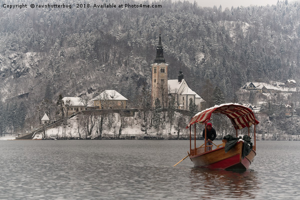 Red Pletna Boat Leaving Bled Island Picture Board by rawshutterbug 