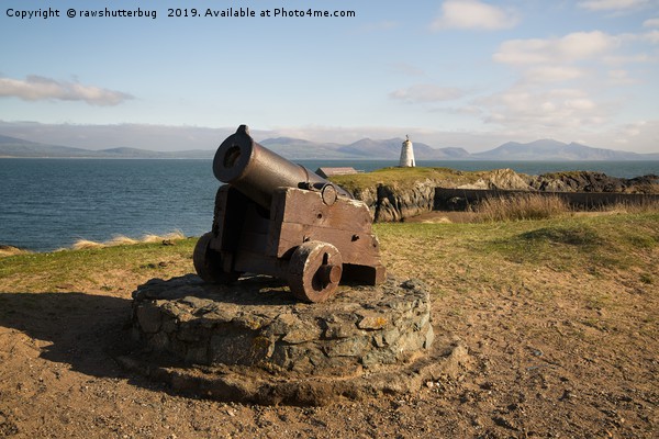 Cannon On Llanddwyn Island Picture Board by rawshutterbug 