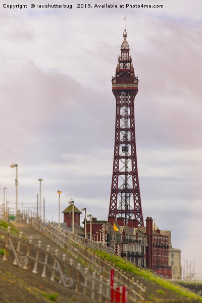 Blackpool Tower At Sunrise Picture Board by rawshutterbug 