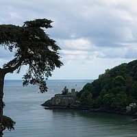 Buy canvas prints of Dartmouth Castle by rawshutterbug 