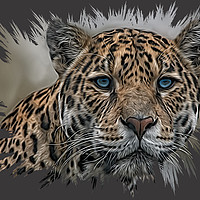 Buy canvas prints of Blue Eyed Jaguar by rawshutterbug 