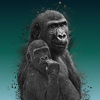 Buy canvas prints of Gorilla Brothers by rawshutterbug 