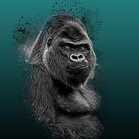 Buy canvas prints of Silverback Gorilla Portrait by rawshutterbug 