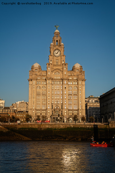 The Liver Building Picture Board by rawshutterbug 