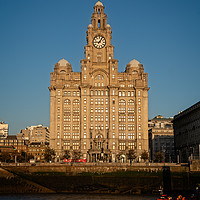 Buy canvas prints of The Liver Building by rawshutterbug 