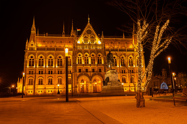 Hungarian Parliament Building At Night Picture Board by rawshutterbug 