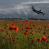 Buy canvas prints of Lancaster Bomber Over A Poppy Field With Lightning by rawshutterbug 
