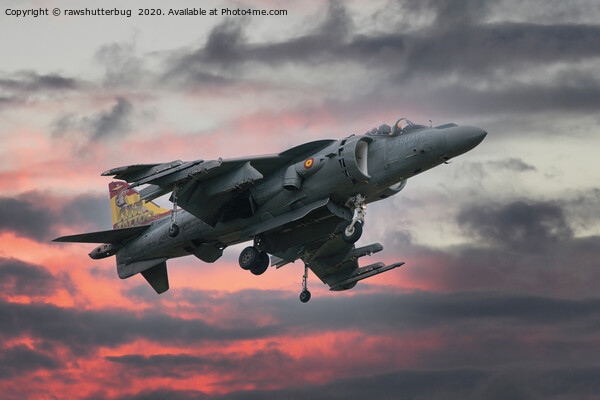 Spanish AV-8B Harrier With Special Tail Picture Board by rawshutterbug 