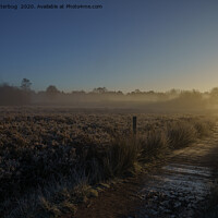 Buy canvas prints of Frosty Morning At Chasewater Country Park by rawshutterbug 
