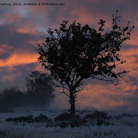 Buy canvas prints of Frosty Sunrise At Chasewater Country Park by rawshutterbug 