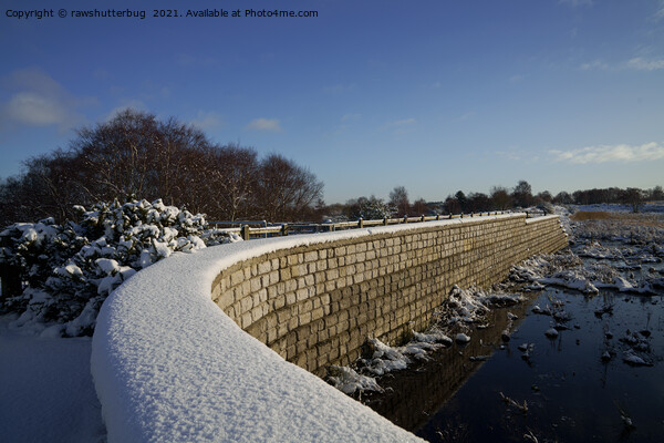 Snow Covered Landscape At Chasewater Country Park Picture Board by rawshutterbug 