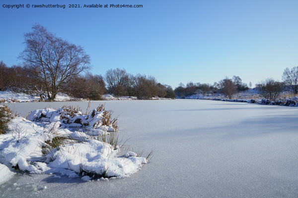 Wintry Scene At The Chasewater Country Park Picture Board by rawshutterbug 