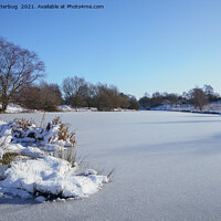 Buy canvas prints of Wintry Scene At The Chasewater Country Park by rawshutterbug 