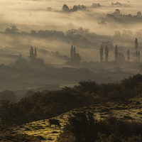 Buy canvas prints of Mist over the levels by adam rumble