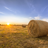 Buy canvas prints of  Sun beams and hay by adam rumble
