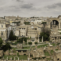 Buy canvas prints of The Forum Rome by Ray Hill