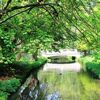 Buy canvas prints of white bridge over the river by Kayleigh Meek