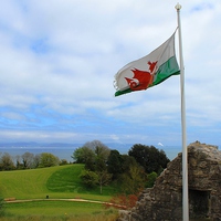 Buy canvas prints of Beautiful Welsh Flag by Kayleigh Meek