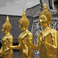 Buy canvas prints of Gold Buddha by Jim O'Donnell