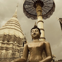 Buy canvas prints of Sitting Buddha by Jim O'Donnell