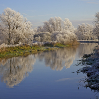 Buy canvas prints of Winter frost 2 by Jim O'Donnell