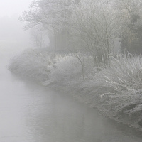 Buy canvas prints of Foggy, Frosty Morning by Judith Head