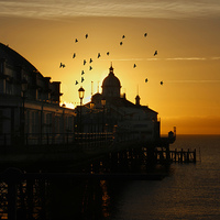 Buy canvas prints of  Birds flying over a Eastbourne pier sunrise, East by Matthew Silver