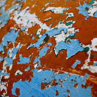 Buy canvas prints of  Old Paint by Matthew Silver