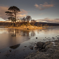 Buy canvas prints of Morning Light at Loch Awe. by Garry Smith