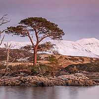 Buy canvas prints of Evening Light at Loch Assynt. by Garry Smith