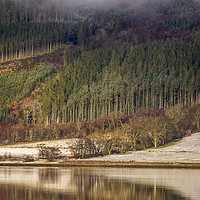 Buy canvas prints of Tree Lines at Loch Leven. by Garry Smith