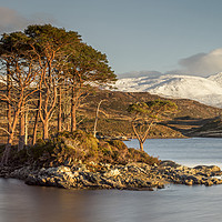 Buy canvas prints of Island Life. Loch Assynt, Sutherland. by Garry Smith